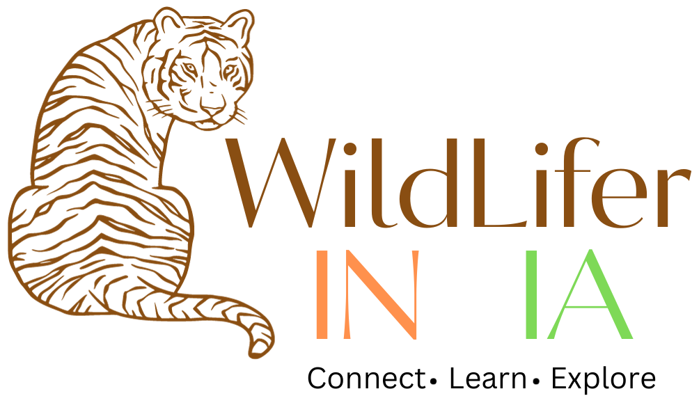 Wildlifer India