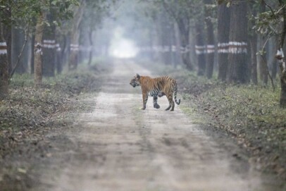 National Park