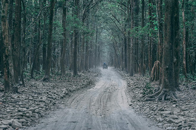 Jim Corbett