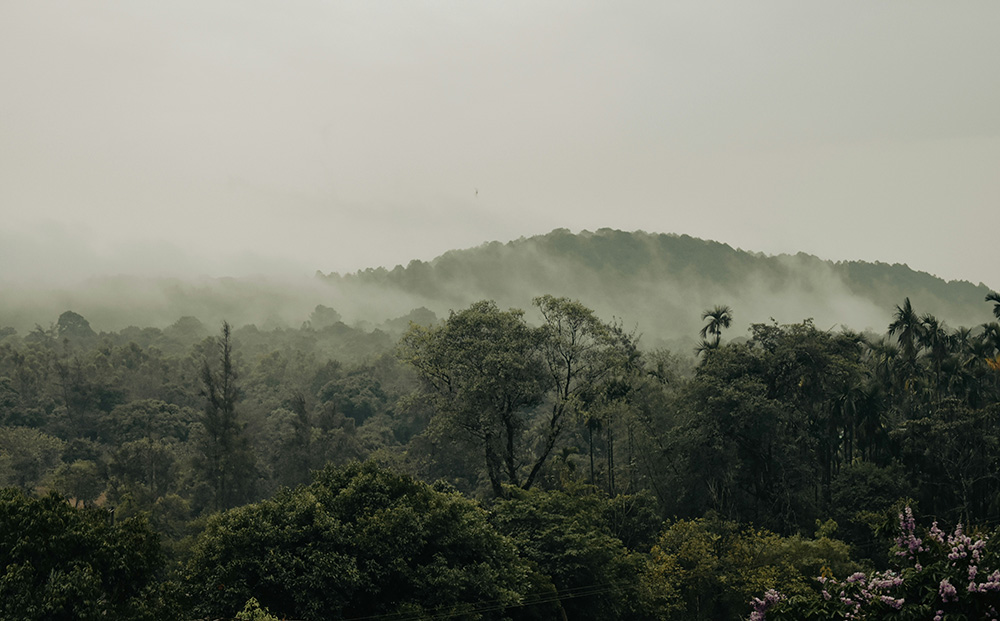 western ghats